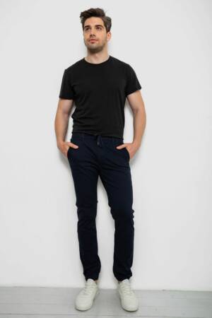 Джоггери чоловічі, колір темно-синій, 244RTE916