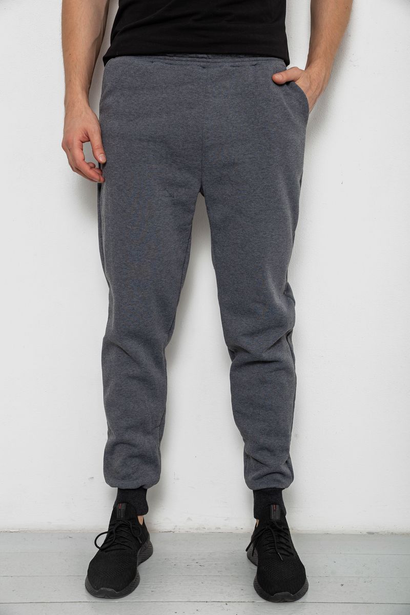 Спортивні чоловічі штани на флісі, колір сірий, 238R56910-5