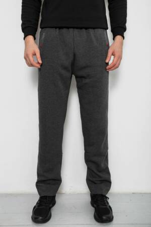 Спортивні штани чоловічі  на флісі, колір сірий, 244R41753