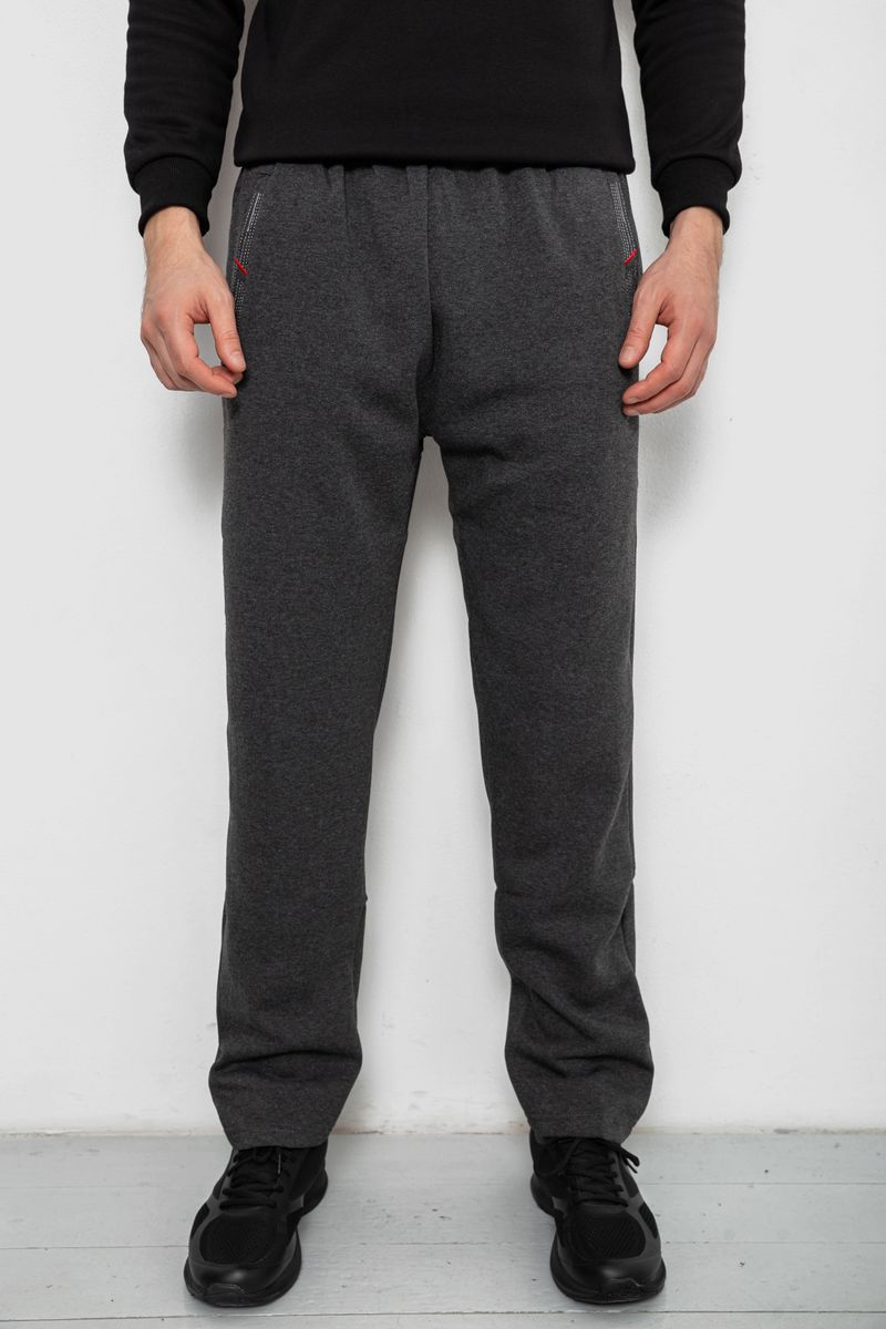 Спортивні штани чоловічі  на флісі, колір сірий, 244R41753