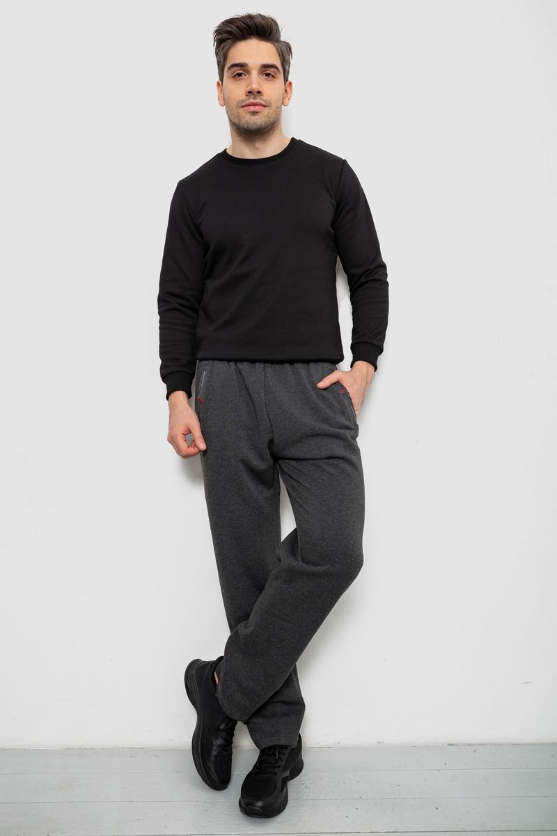 Спортивні штани чоловічі  на флісі, колір сірий, 244R41753