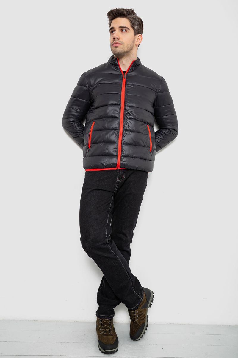 Куртка чоловіча демісезонна 244RL616, колір Чорний