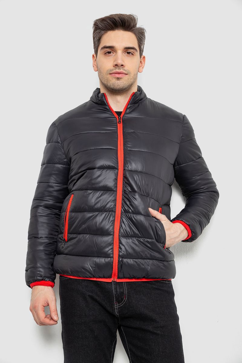 Куртка чоловіча демісезонна 244RL616, колір Чорний