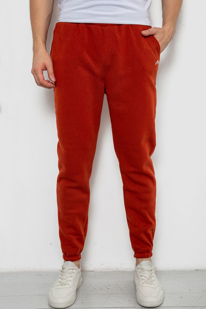 Спортивні штани чоловічі на флісі, колір теракотовий, 238R57256