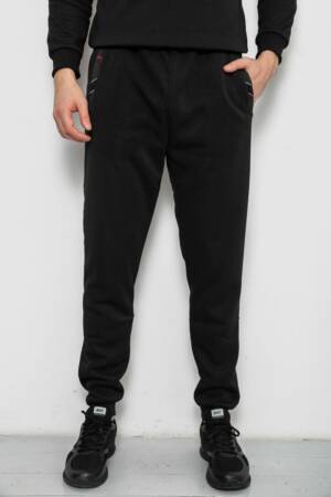 Спортивні штани чоловічі на флісі, колір чорний, 244R41553