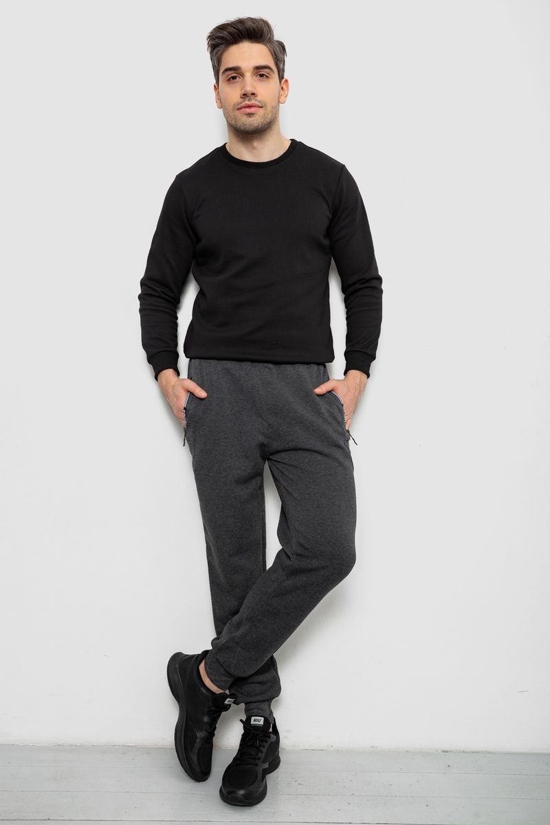 Спортивні штани чоловічі на флісі, колір сірий, 244R6120