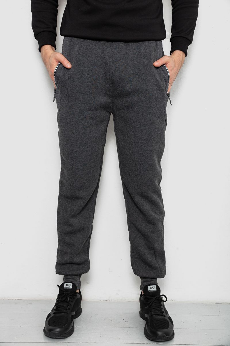 Спортивні штани чоловічі на флісі, колір сірий, 244R6120