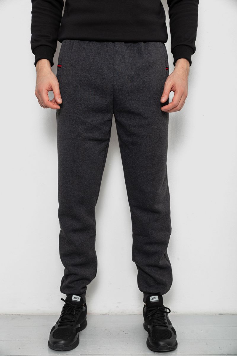 Спортивні штани чоловічі на флісі, колір сірий, 244R41526